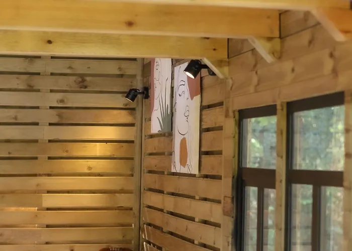 Casa En El Arbol