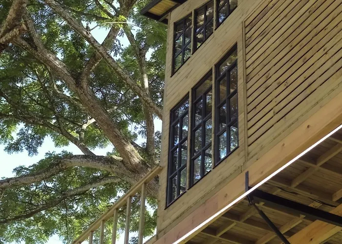 Casa En El Arbol