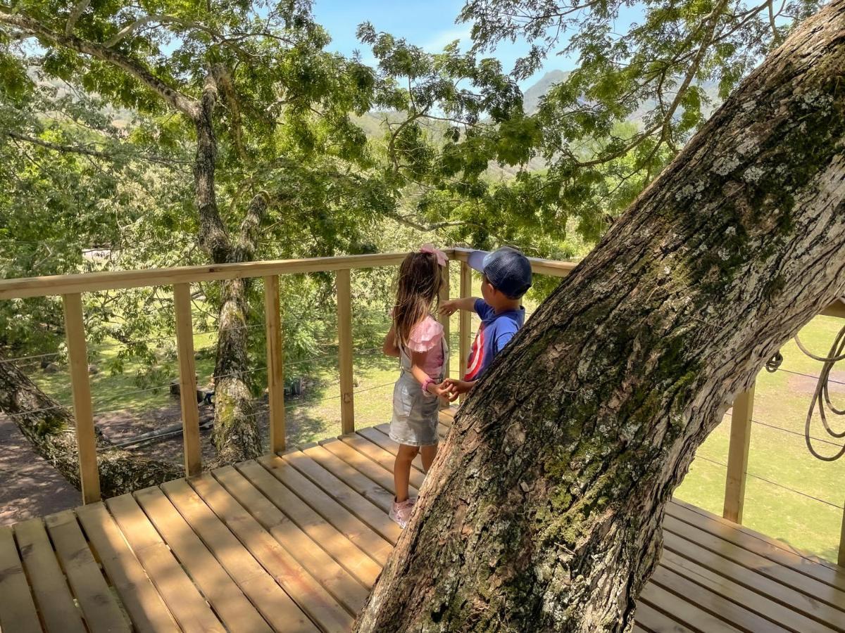 Casa En El Arbol Lodge *