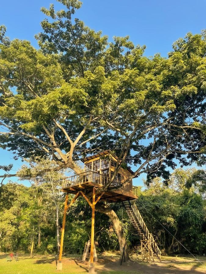 Casa En El Arbol Lodge *
