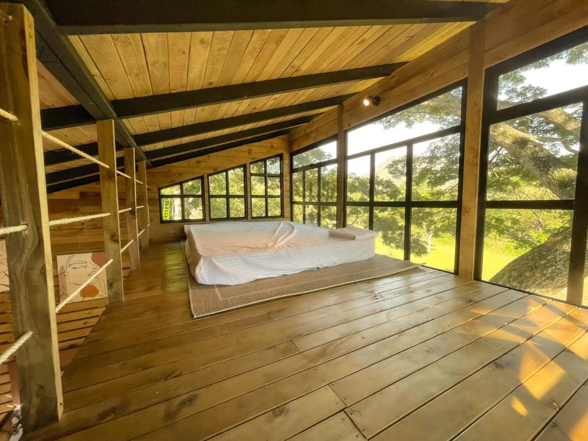 Casa En El Arbol