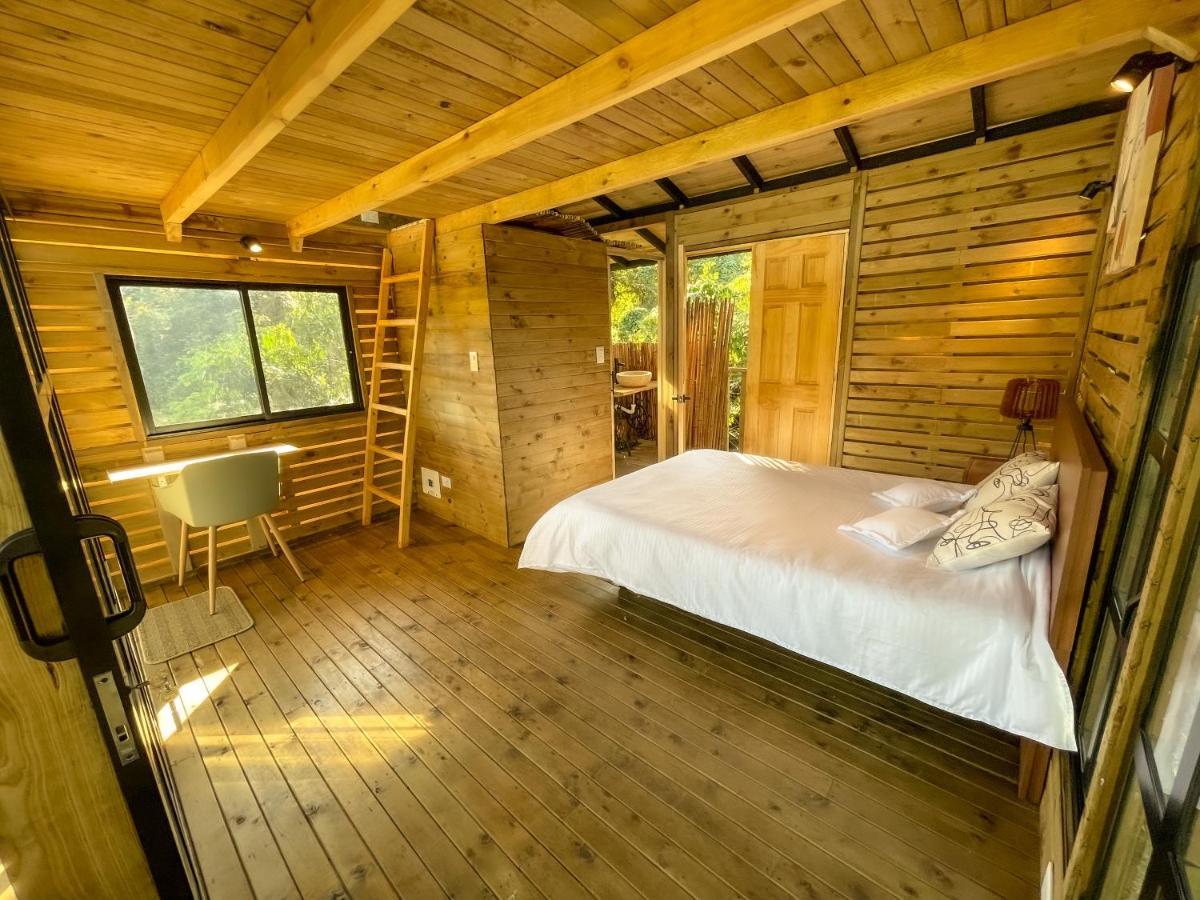 Casa En El Arbol Lodge *