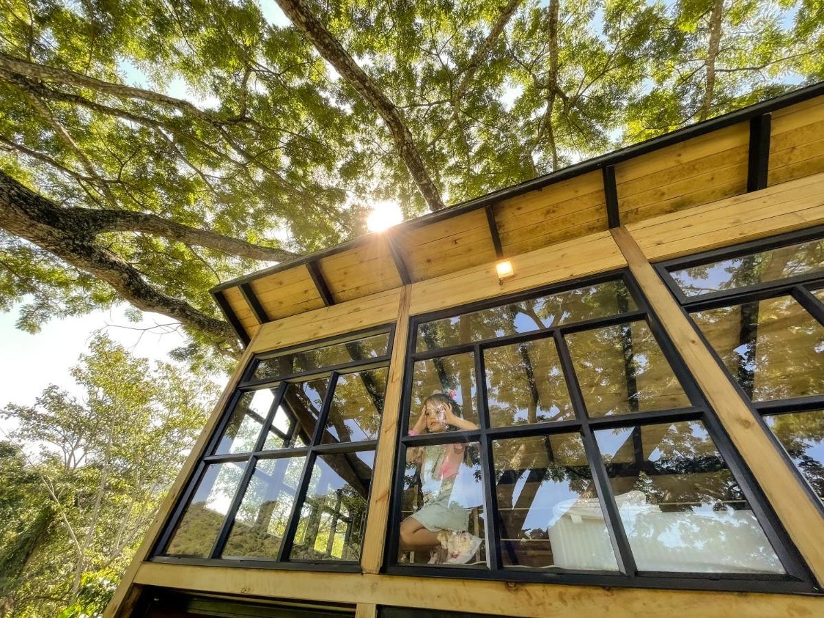 Casa En El Arbol Lodge *