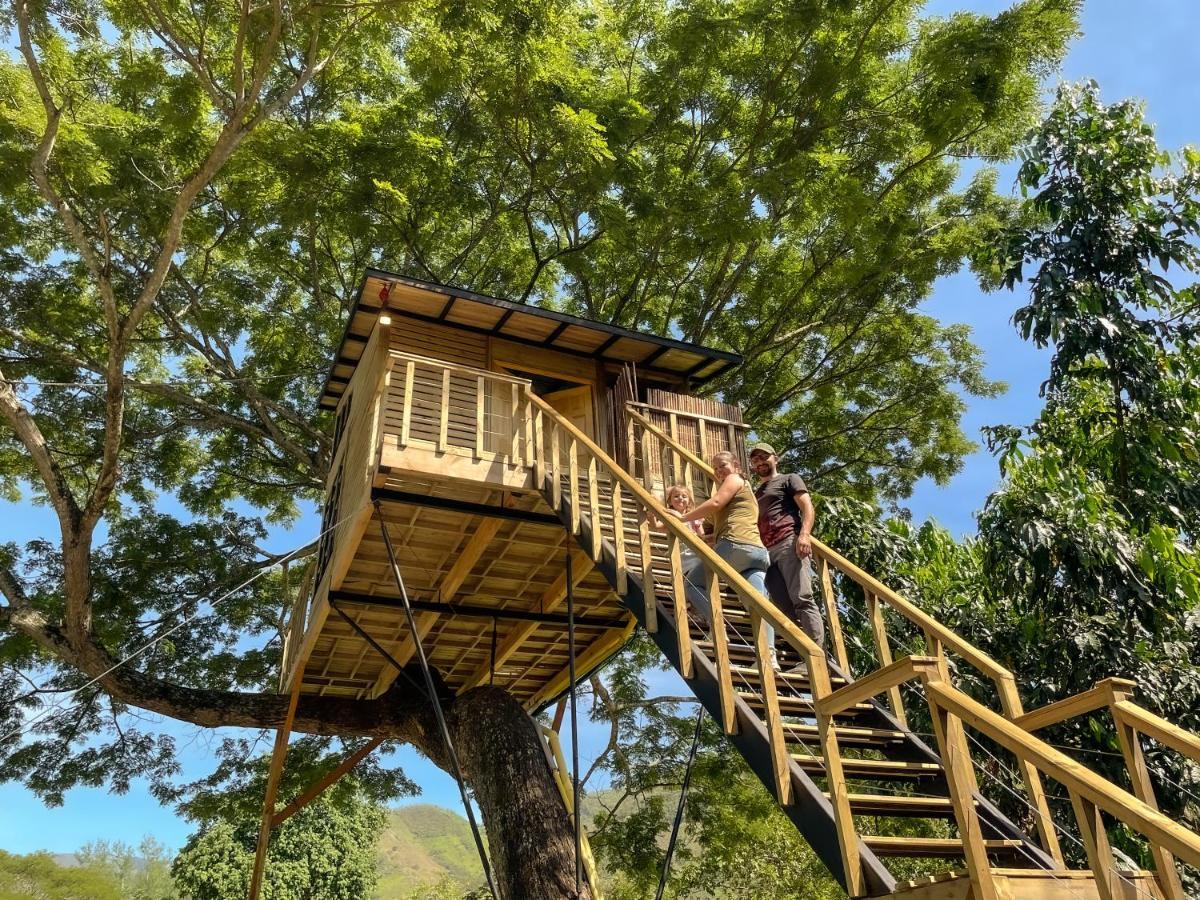Casa En El Arbol Lodge