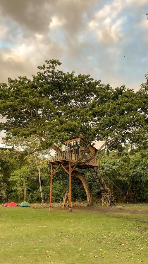 Casa En El Arbol Utica