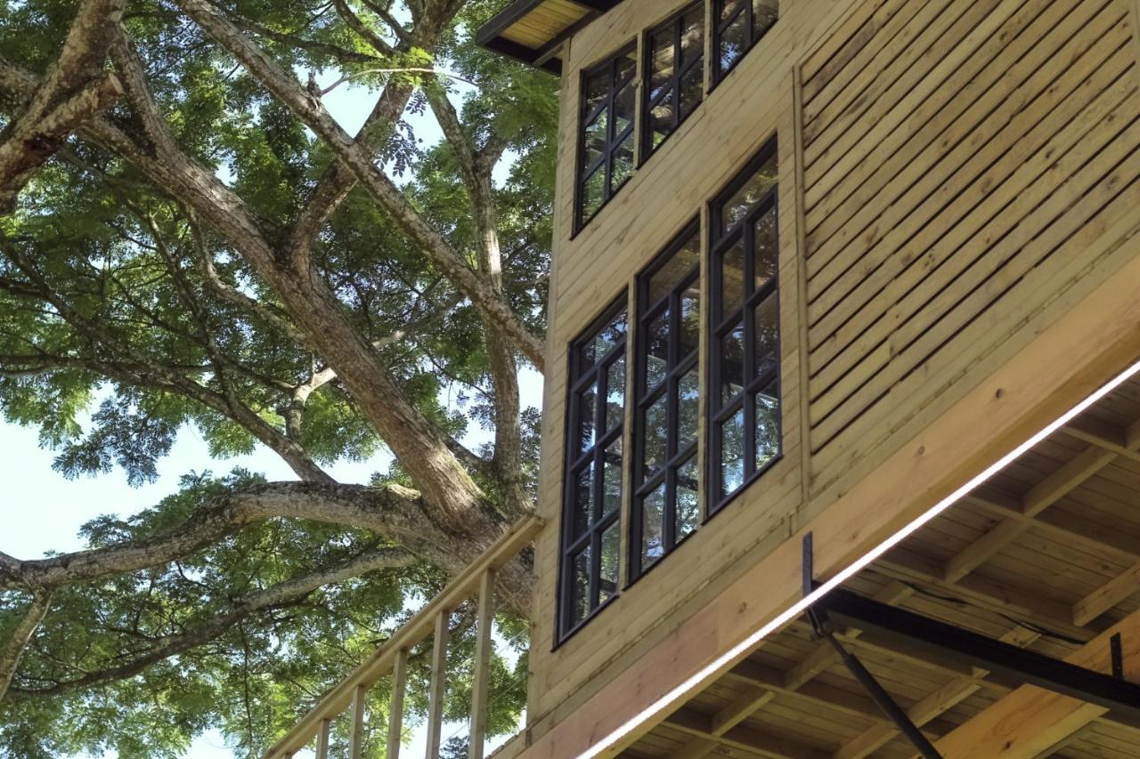 Casa En El Arbol Lodge *