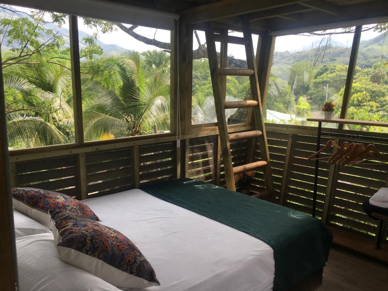 Casa En El Arbol Lodge *