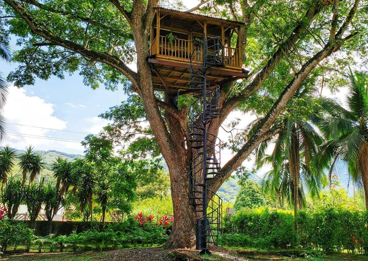 Casa En El Arbol