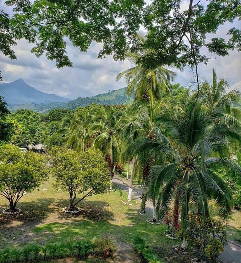 Casa En El Arbol Lodge *