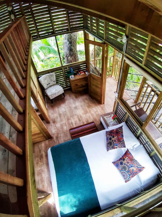 Casa En El Arbol Lodge Utica